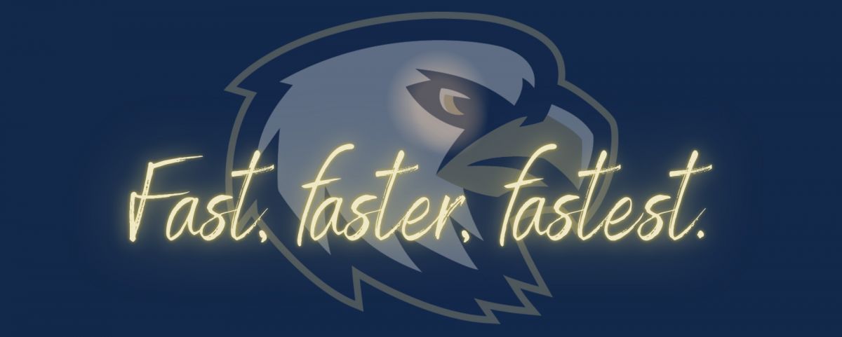 Fast, faster, fastest