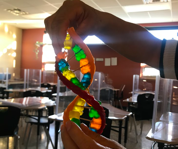 Candy DNA